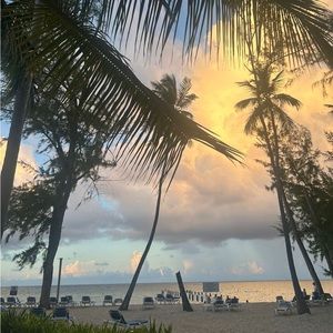 Meet your Posher, Adel